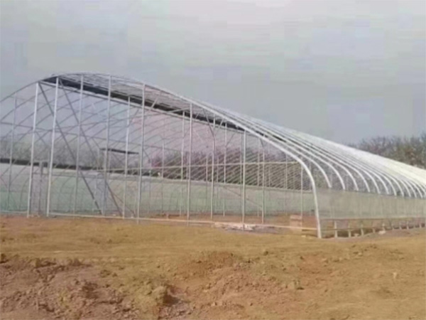 日光温室