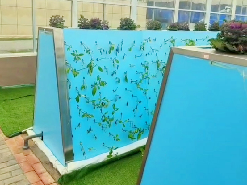 三角雾培