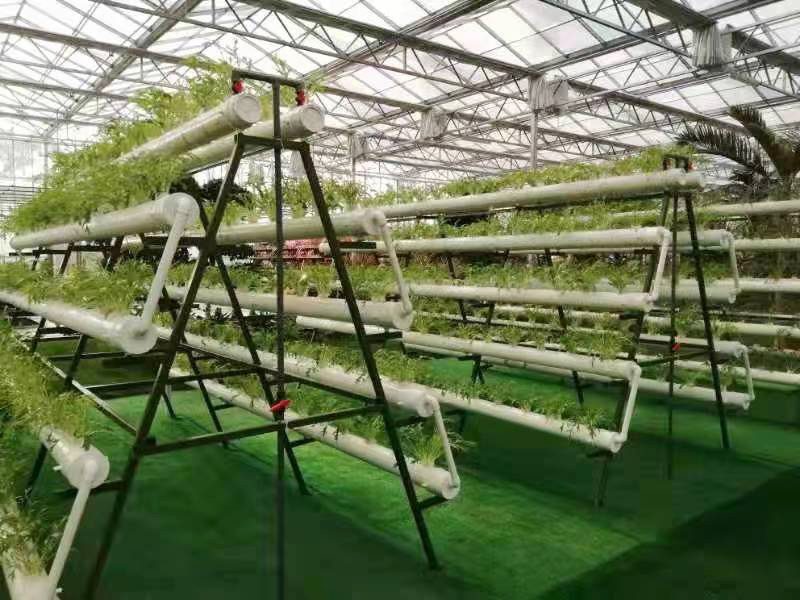 工程案例