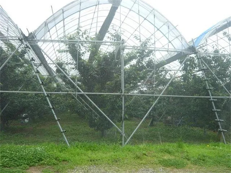 避雨棚