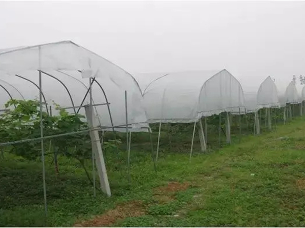 避雨棚