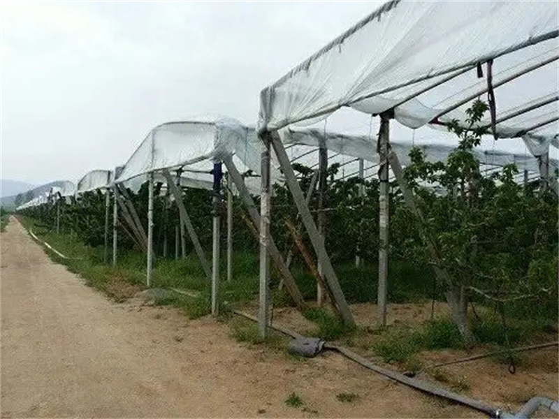 避雨棚