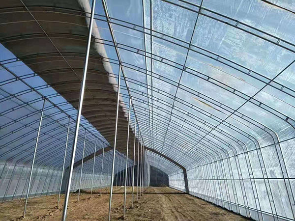 插地棚
